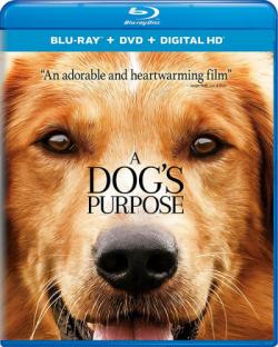  / A Dog's Purpose DUB [iTunes]