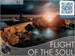 VA - Flight Of The Soul vol.18