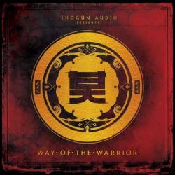 VA - Way Of The Warrior LP