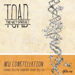 Toad the Wet Sprocket - New Constellation