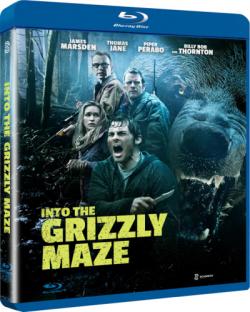  / Into the Grizzly Maze MVO