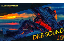 VA - DNB Sound vol.10