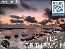 VA - Flight Of The Soul vol.17