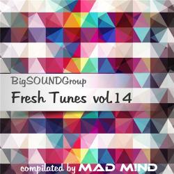 VA - Fresh Tunes vol.14 from Mad M!nd