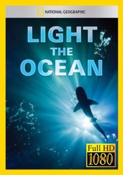   / National Geographic. Light the Ocean VO