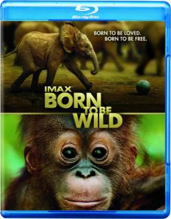    / IMAX - Born to Be Wild DVO + ENG