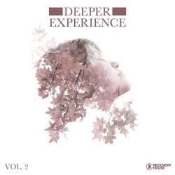 VA - Deeper Experience Vol. 2