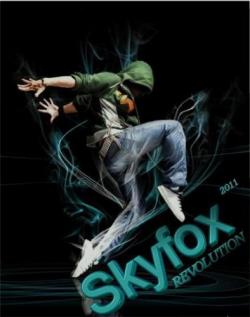 DJ SKYFOX - Revolution
