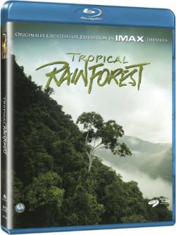   / IMAX - Tropical Rainforest DVO + ENG