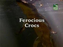    / Animal Planet. Ferocious Crocs VO