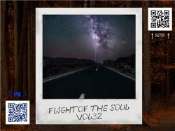 VA - Flight Of The Soul vol.32
