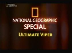    / National Geographic. Ultimate Viper VO