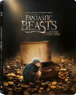       / Fantastic Beasts and Where to Find Them [2D/3D] DUB