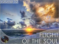 VA - Flight Of The Soul vol.10