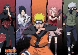  + :   / Naruto + Naruto Shippuuden [ !  !] [TV-1-2] [1-135  220 + 1-479  500]