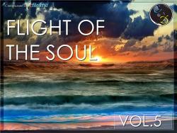 VA - Flight Of The Soul vol.5