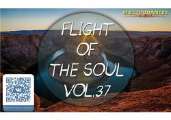 VA - Flight Of The Soul vol.37