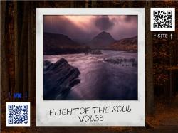 VA - Flight Of The Soul vol.33