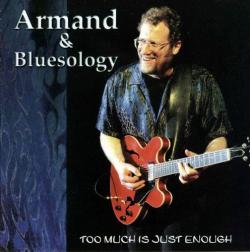 Armand Bluesology - Too Much Is Just Enough