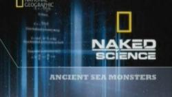    :   / Naked Science: Birth of the Universe