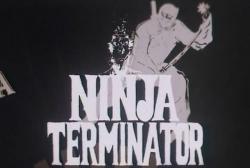 - / Ninja Terminator VO