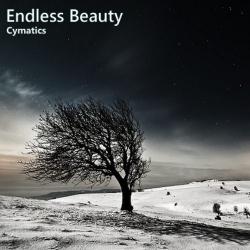 Cymatics - Endless Beauty