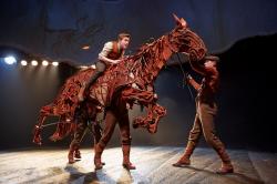 Picture - Warhorse