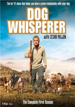      .  1-7  .  ( 1-161) / Dog Whisperer with Cesar Millan VO