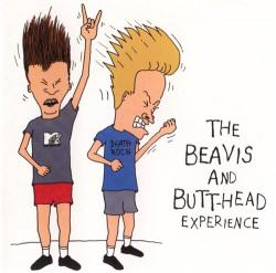 VA - The Beavis and Butt-head Experience