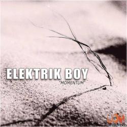 Elektrik Boy - Momentum