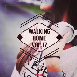 VA - Walking Home, Vol. 17