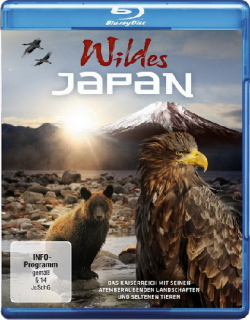    (2   2) / Wildes Japan AVO