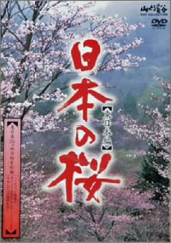   / Japanese Cherry Blossom
