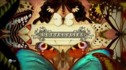  / Butterflies VO