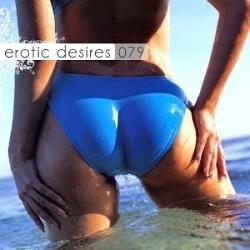 VA - Erotic Desires Volume 079