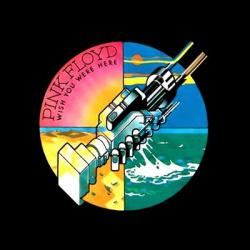 Pink Floyd - Wish You Were Here [Experience Edition]