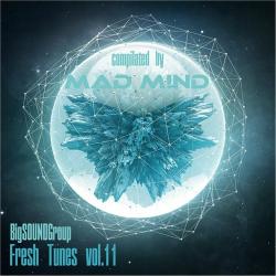 VA - Fresh Tunes vol.11 from Mad M!nd