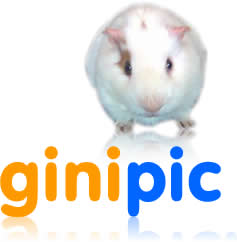 Ginipic 1.2.2052.9357