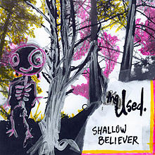 The Used Shallow Believer
