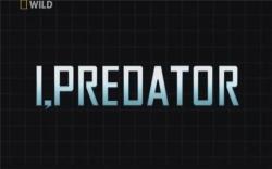  :    / I,Predator : Great white shark