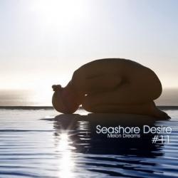 VA - Seashore Desire #11