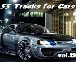 VA - Top 55 Tracks for Cars Vol 12