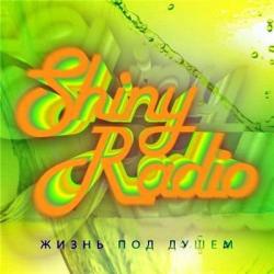 Shiny Radio -   
