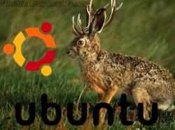 Ubuntu 9.10-desktop-i386