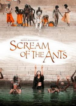   / Scream of the Ants DVO
