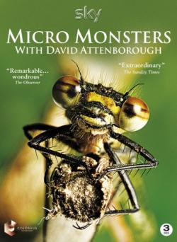      (6   6) / Micro Monsters with David Attenborough VO