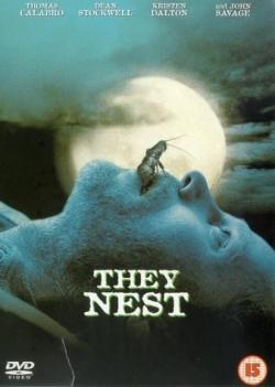   / They Nest
