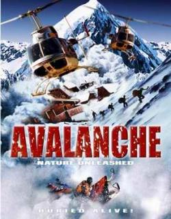  / Nature Unleashed: Avalanche MVO