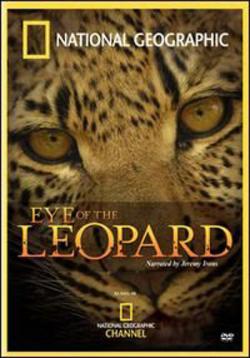   / Eye Of The Leopard