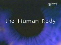 Discovery:   / The human body [ ]